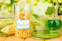 Partick biofuel availability