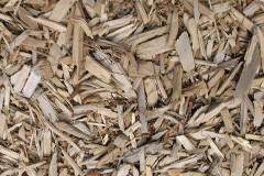 biomass boilers Partick